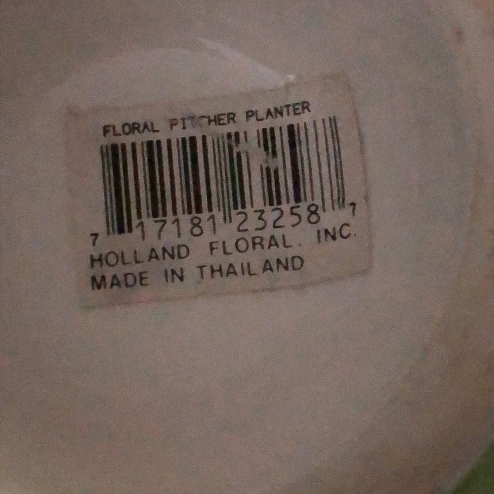 Pitcher planter - Picture 3 of 3